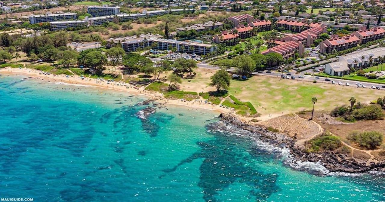 Penthouse 1 Bd King Suite With Ocean Views! Wailea  Eksteriør bilde